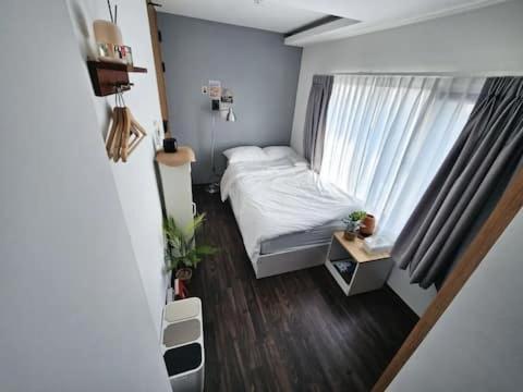 Catnap guesthouse
