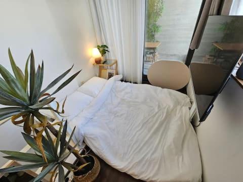 Catnap guesthouse