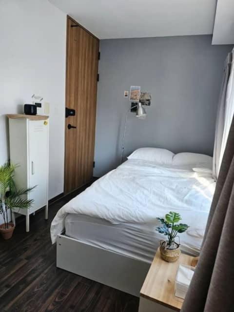Catnap guesthouse