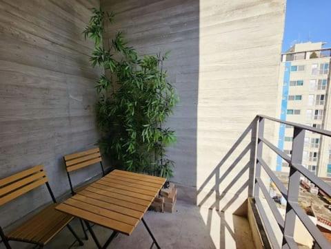 Catnap guesthouse