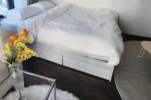 Catnap guesthouse