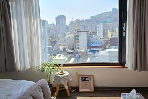 Catnap guesthouse