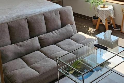 Catnap guesthouse