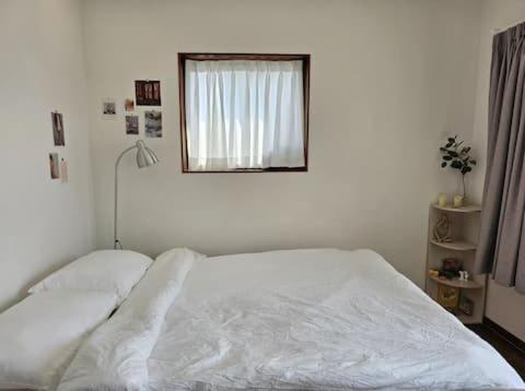 Catnap guesthouse