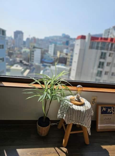Catnap guesthouse