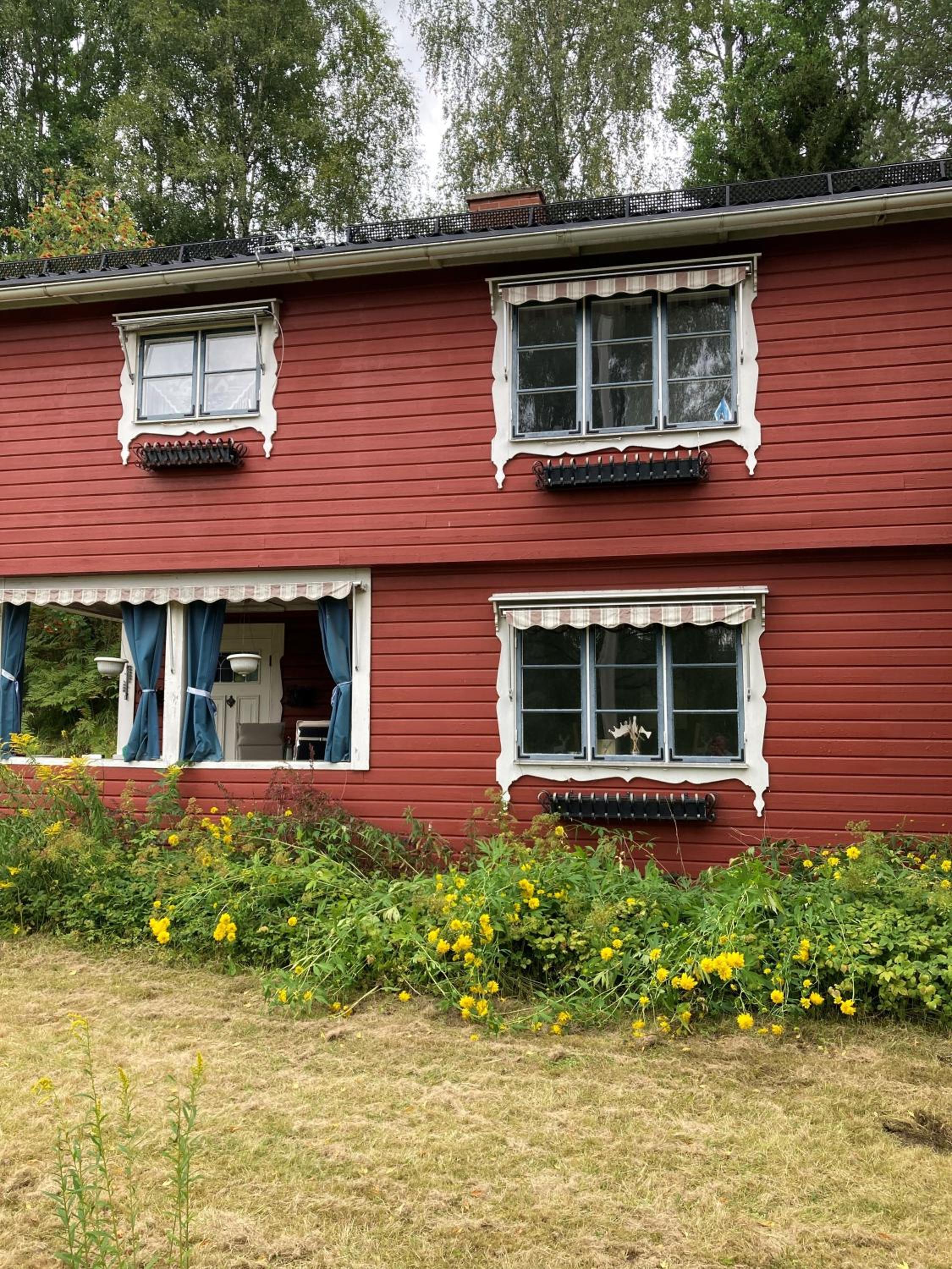 Photo 17