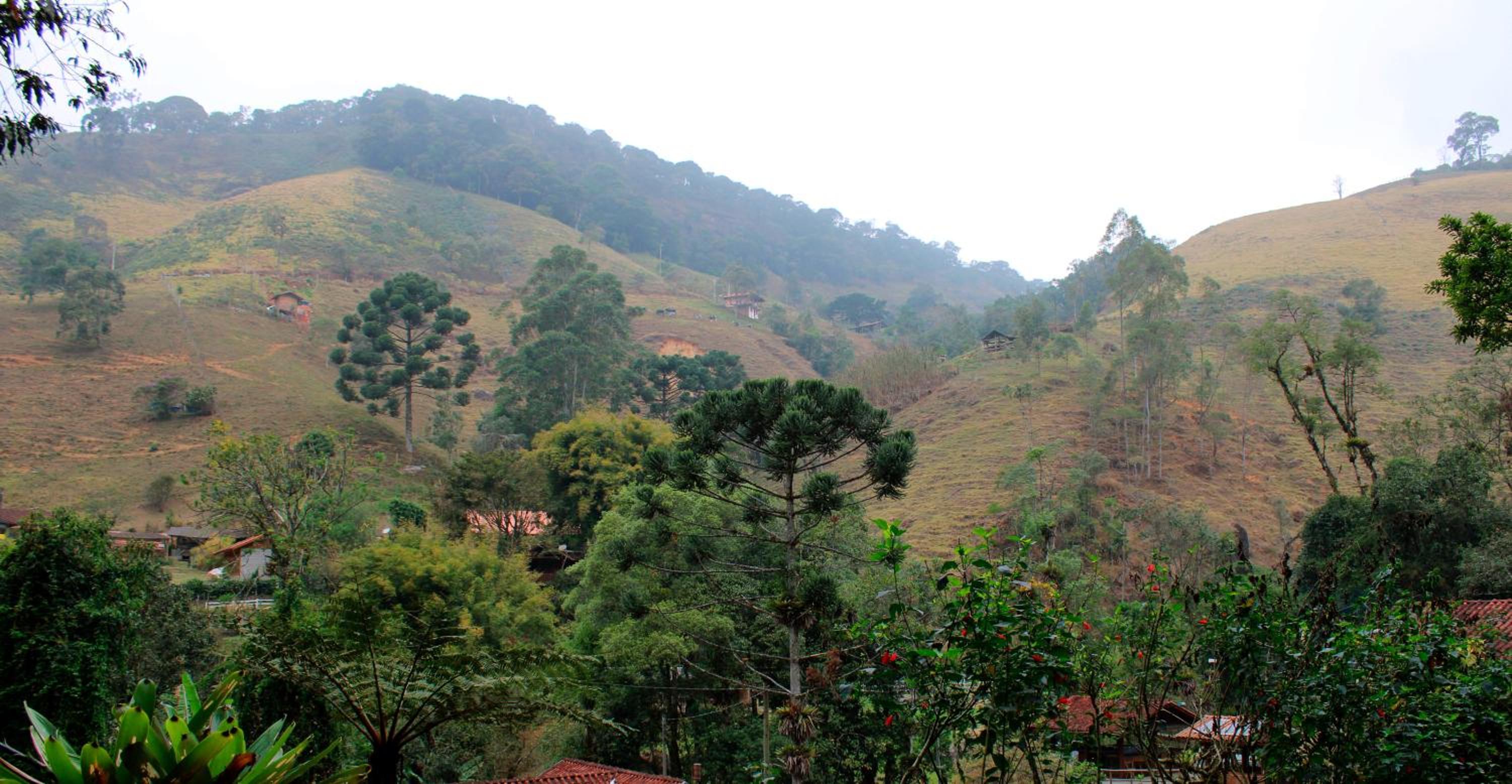 Chalés Truta Da Floresta