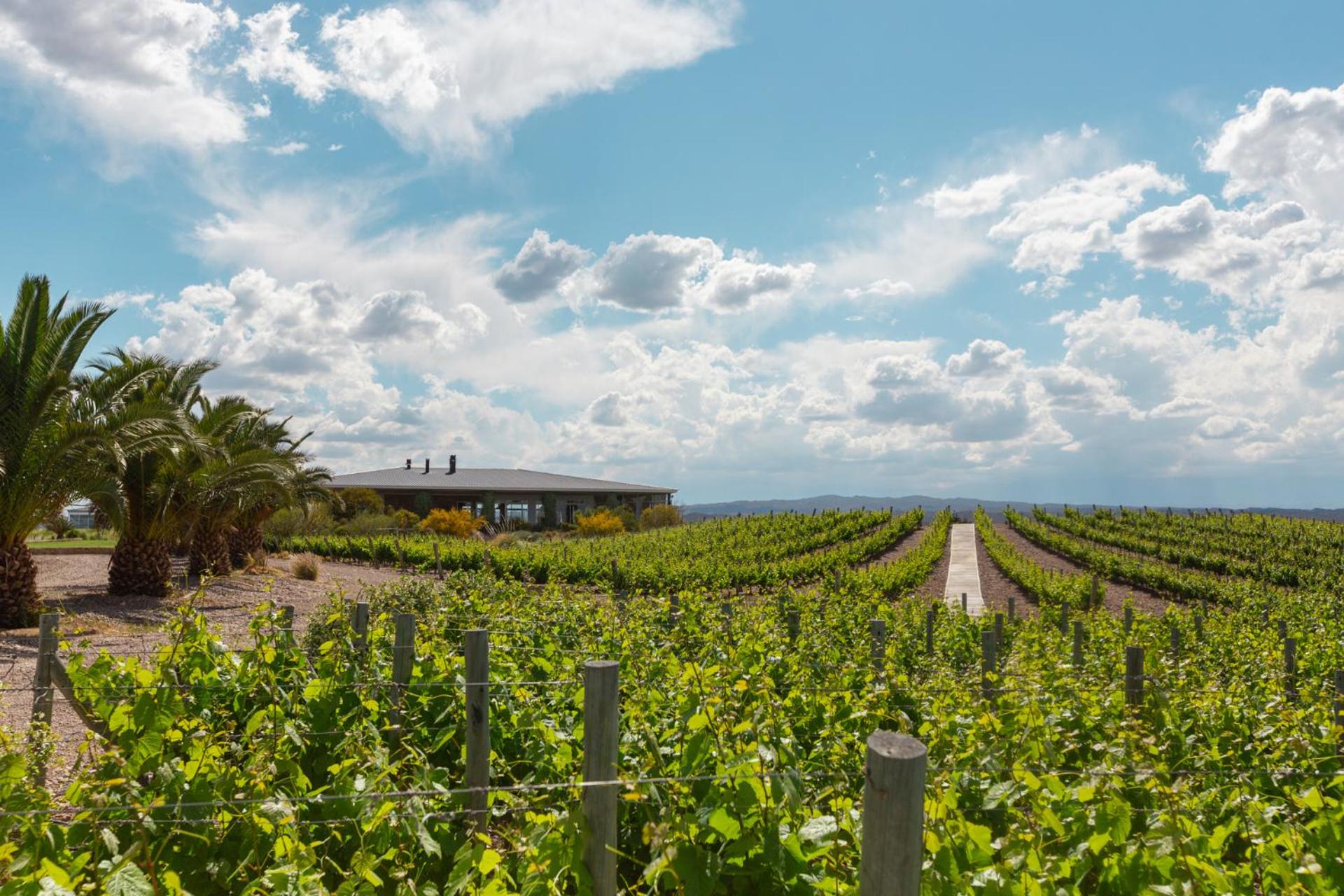 Villas Del Malbec Lodges