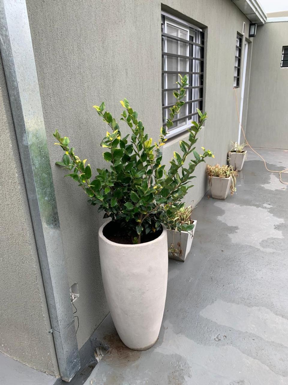 Apartamentos Colibrí