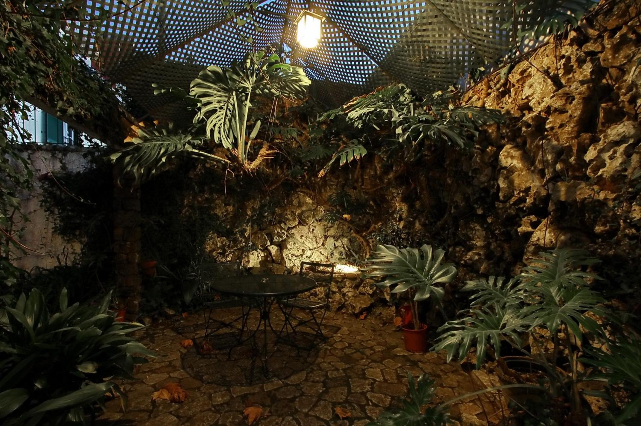 Photo 41