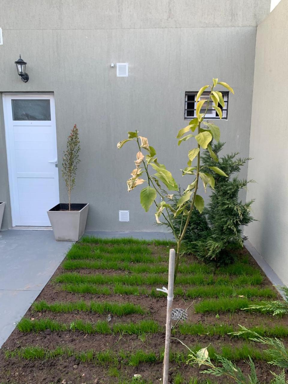 Apartamentos Colibrí