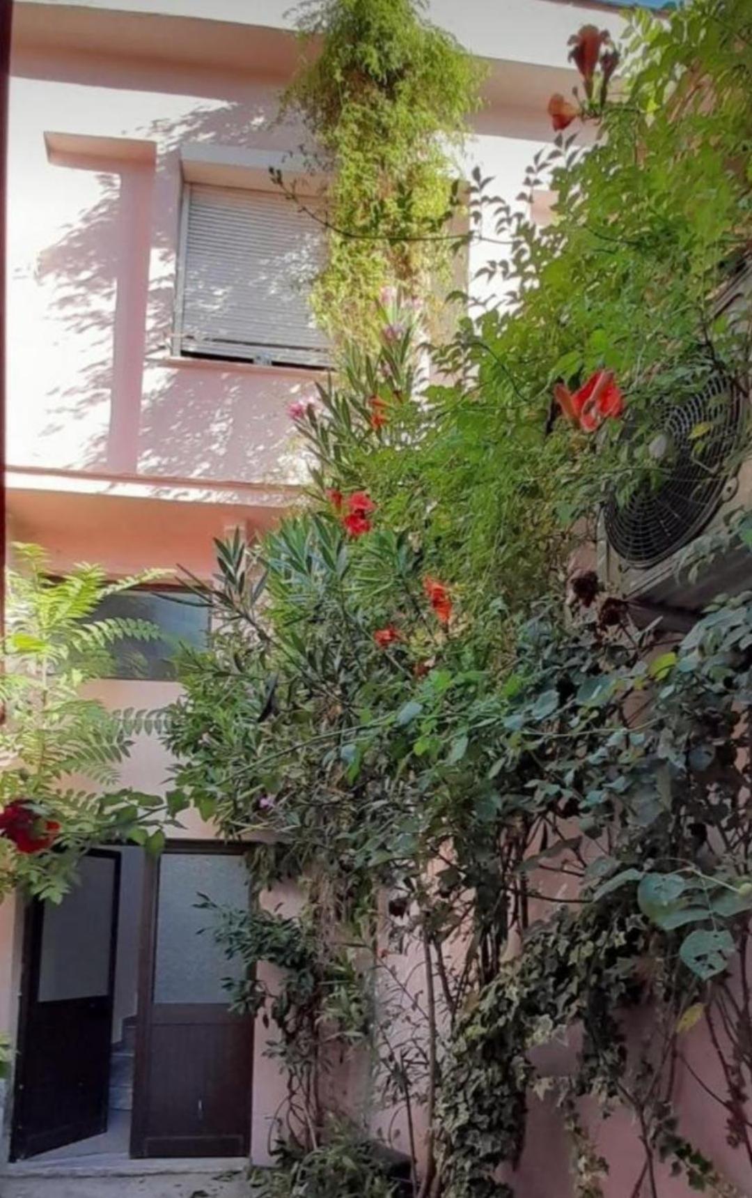 Arti House at Selvia
