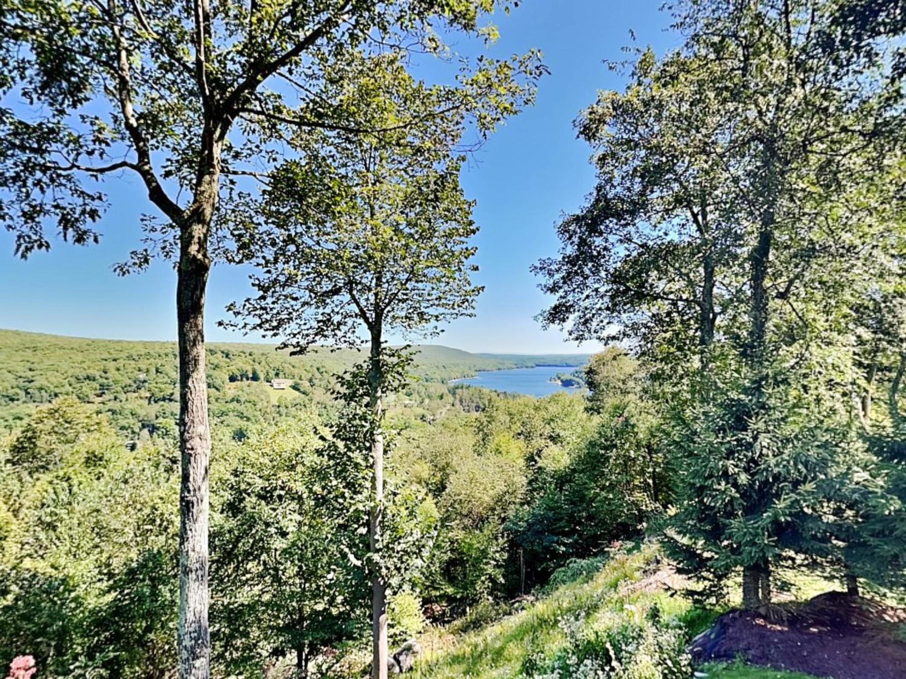 Magnificent Mountain Lodge view 5