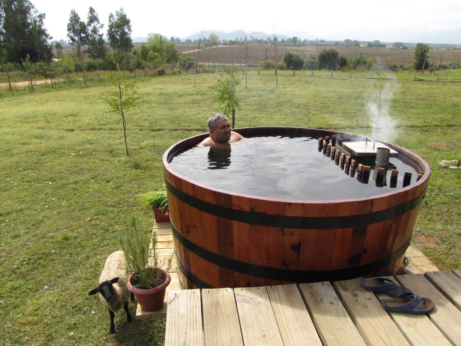 B&B Shambala HN