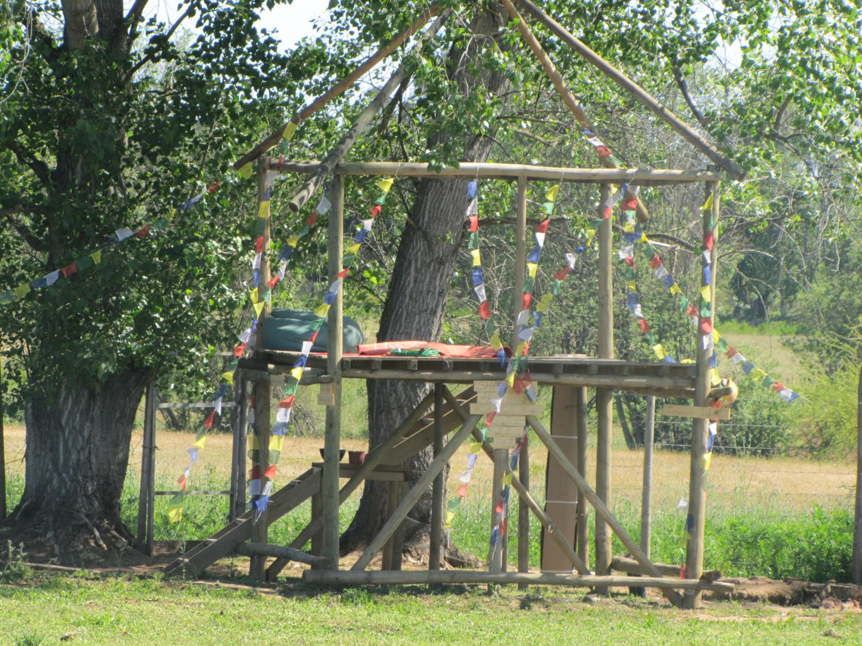 B&B Shambala HN