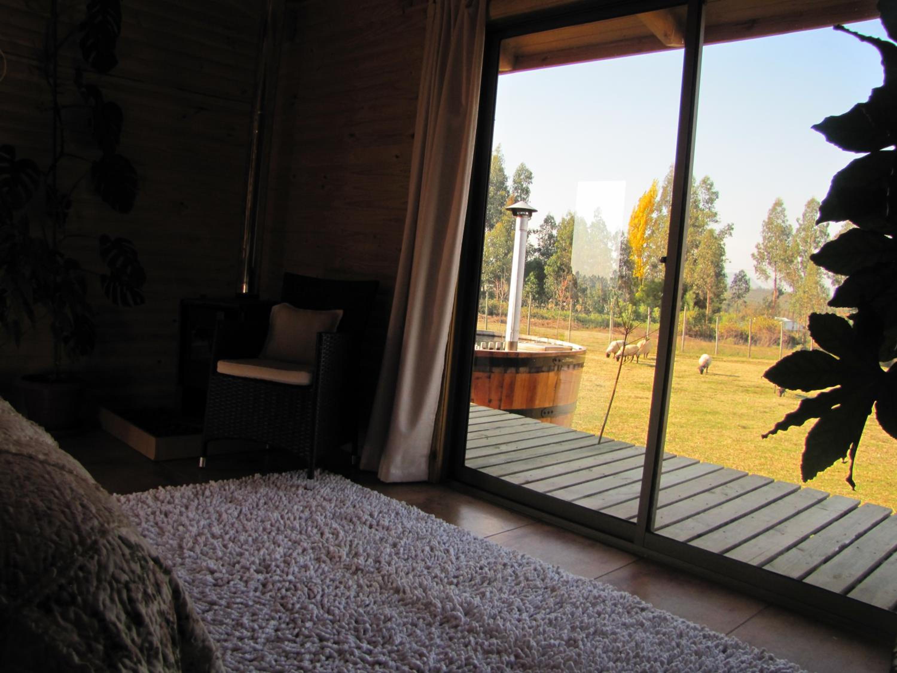 B&B Shambala HN
