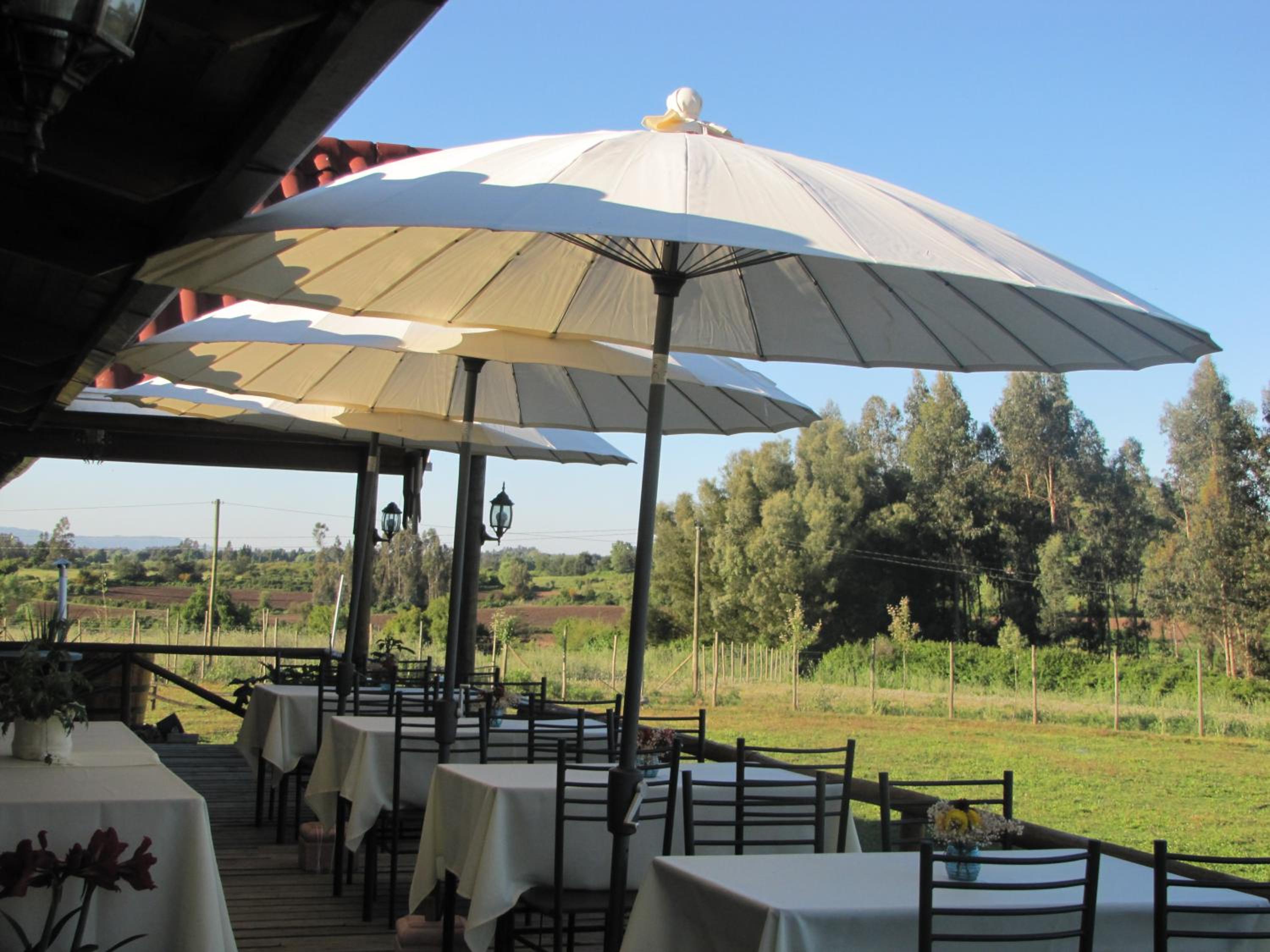 B&B Shambala HN