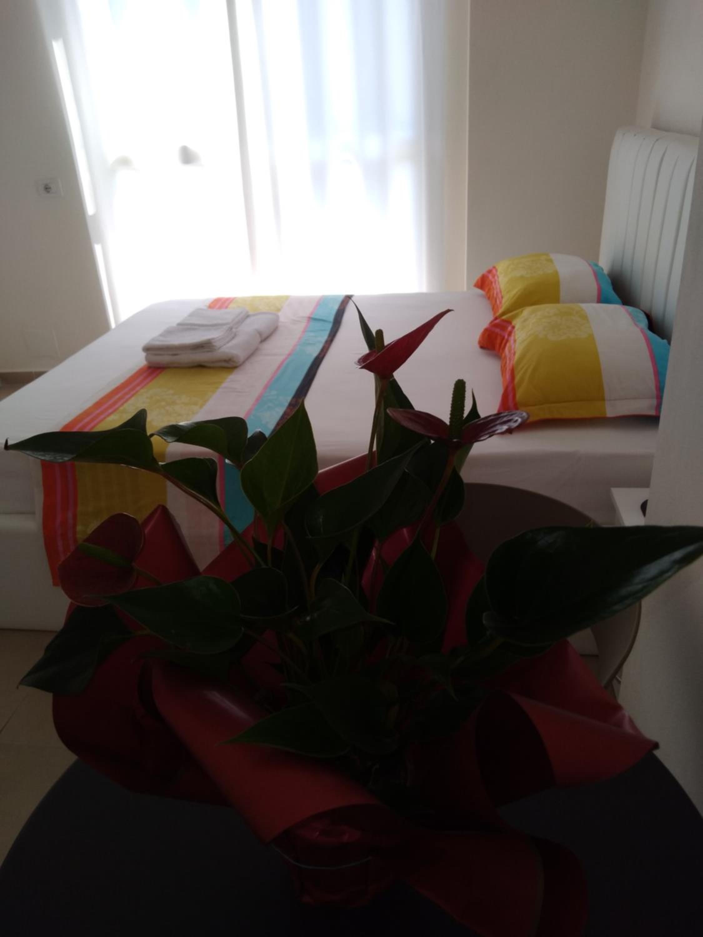 Arli Eris Rent rooms