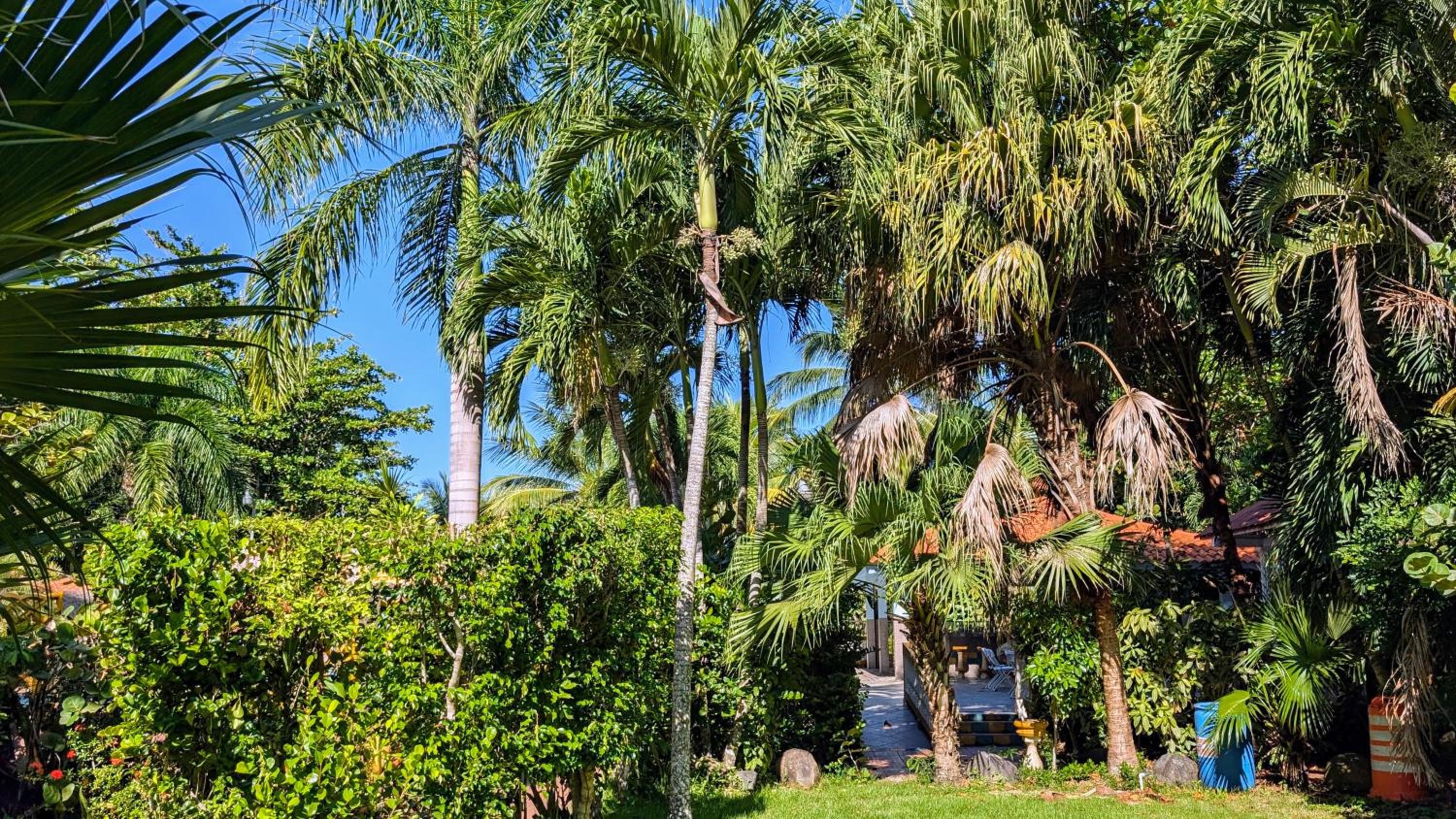 Yukayeke Playa Resort