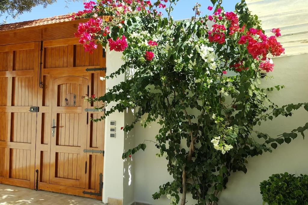 Villa de charme, jardin paysagé, piscine privée view 4