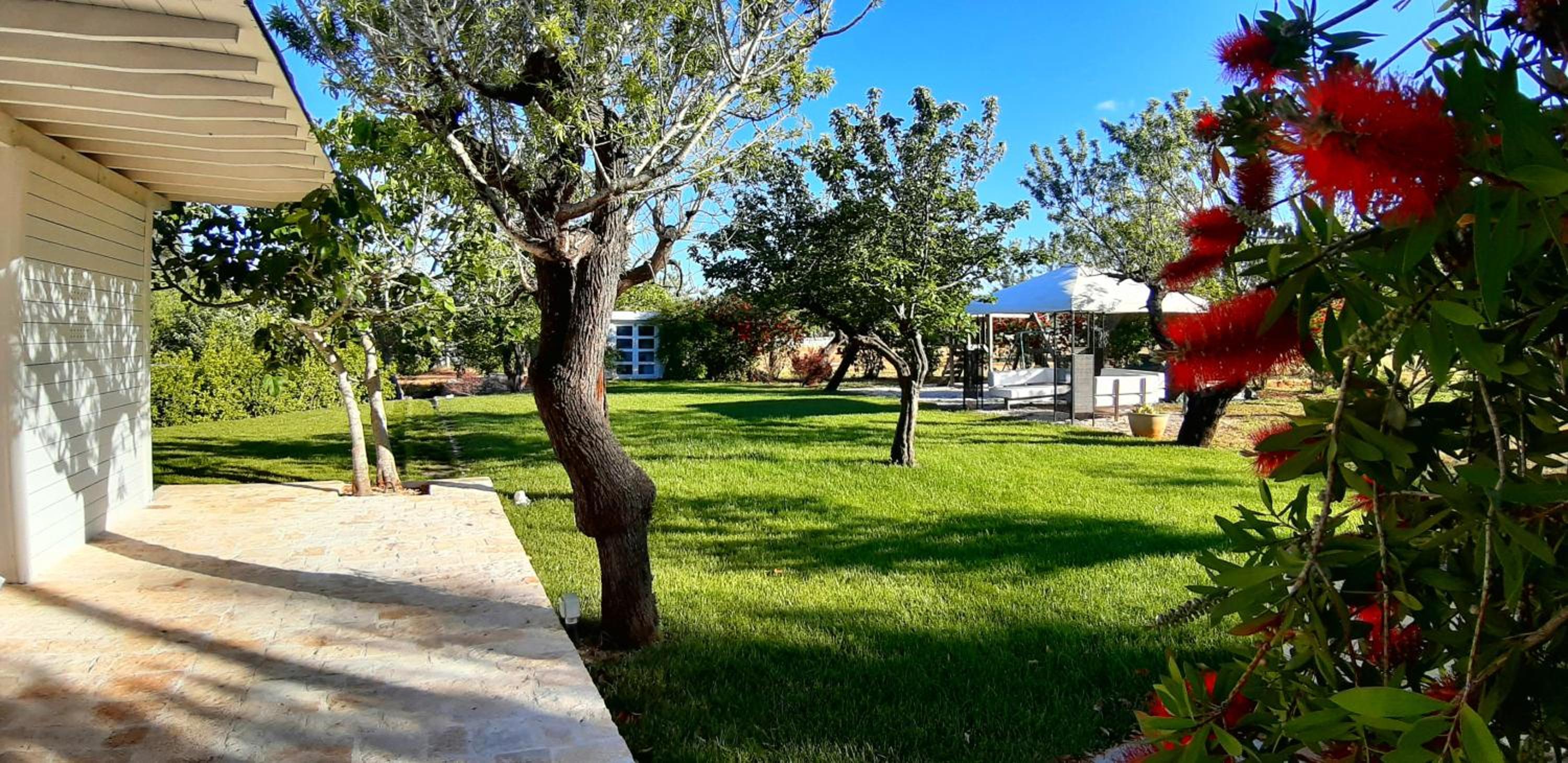 Photo 41
