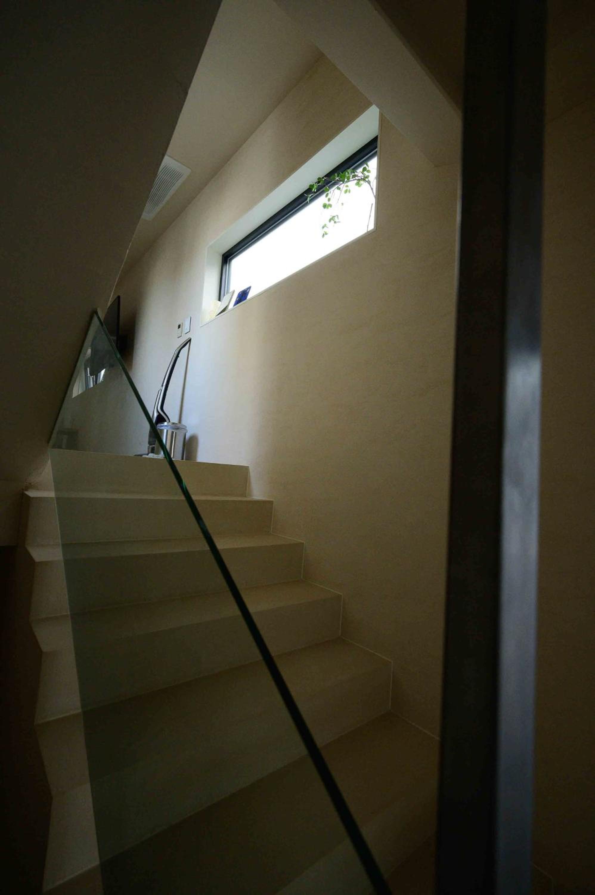 Catnap guesthouse
