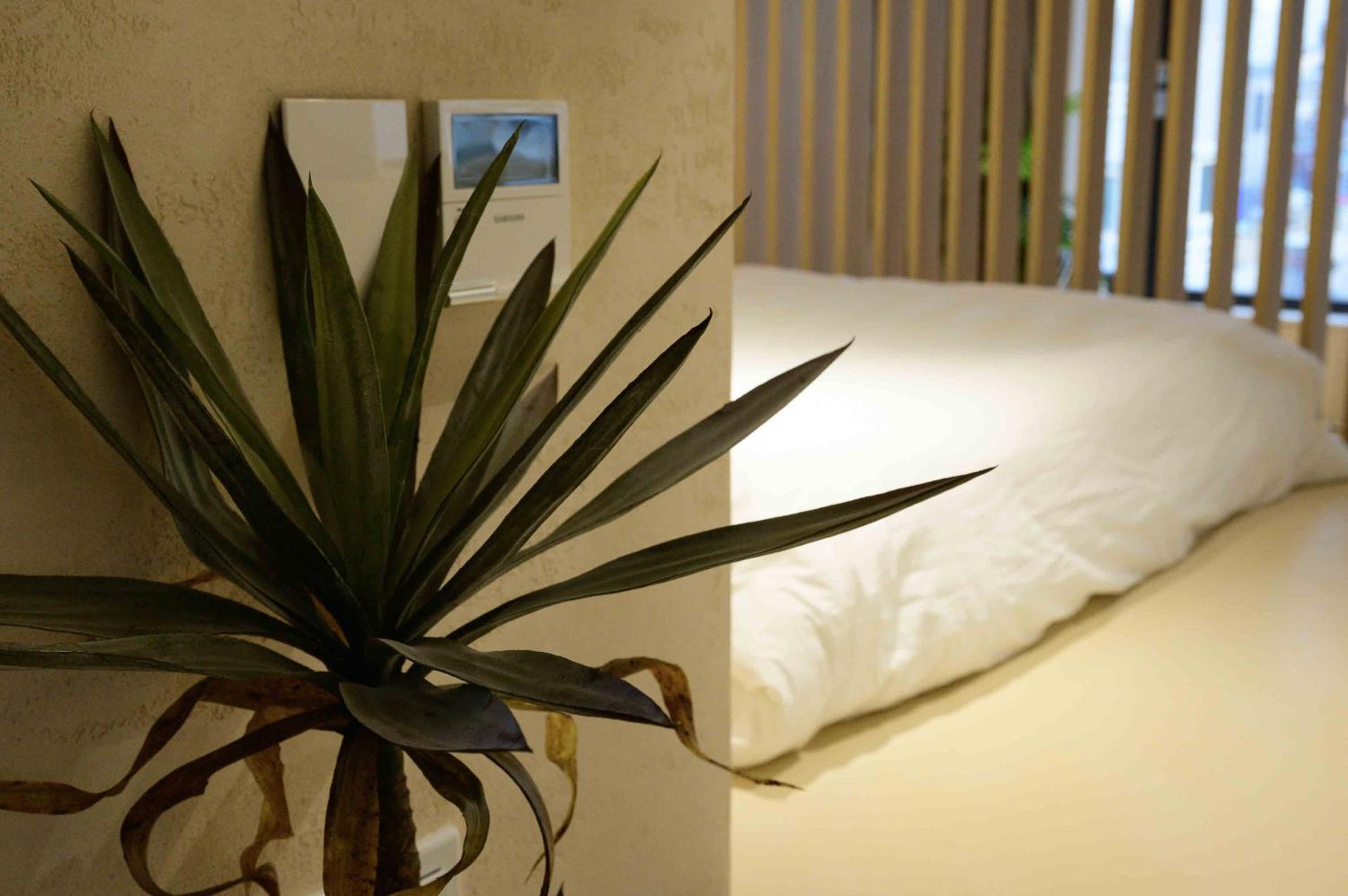 Catnap guesthouse