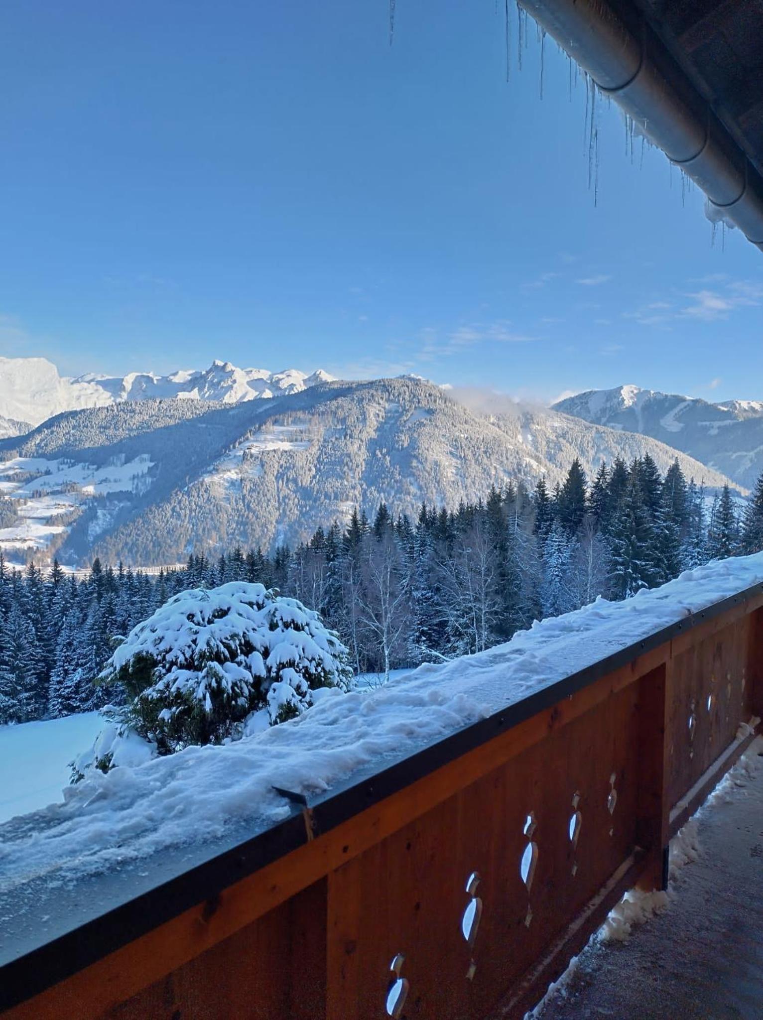 Panorama Chalet mit Sauna Höllmaishof