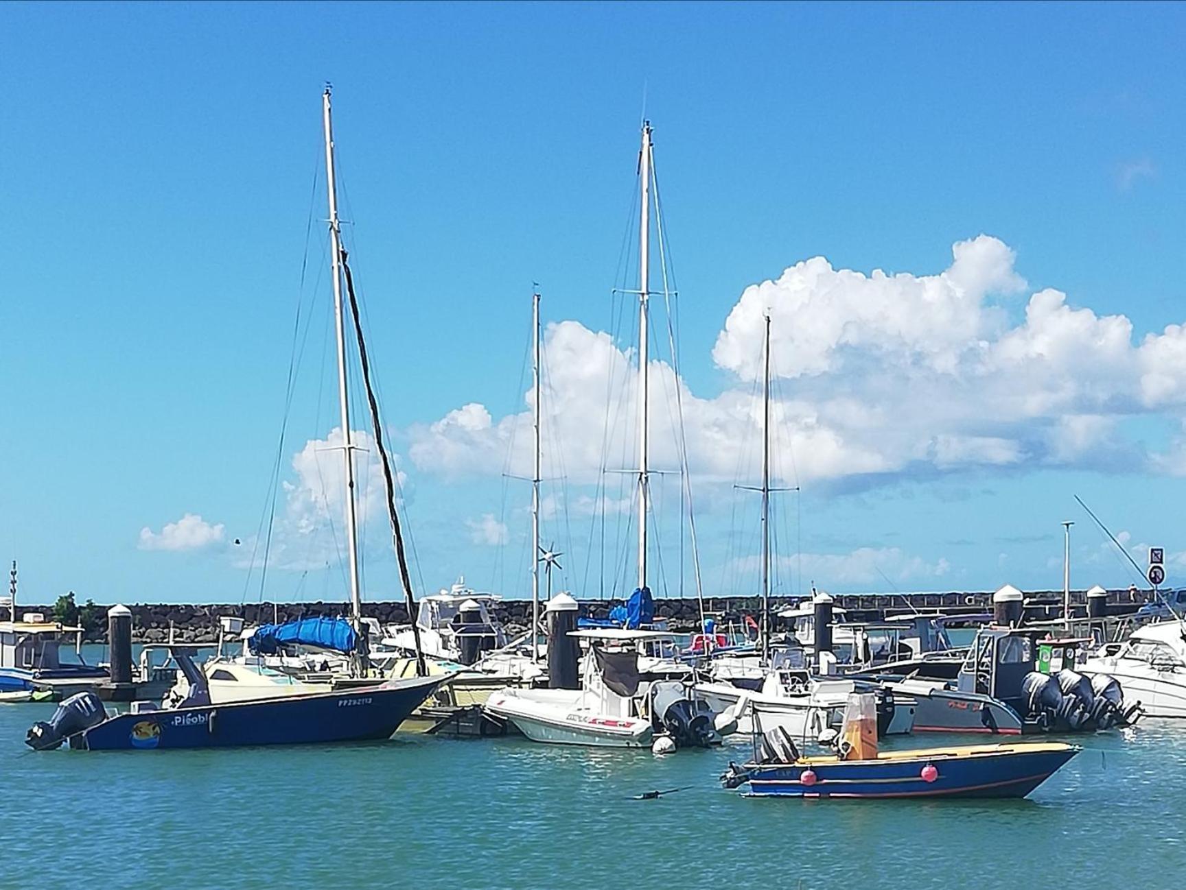 L'abri côtier, plage sans sargasses à 3mn à pied