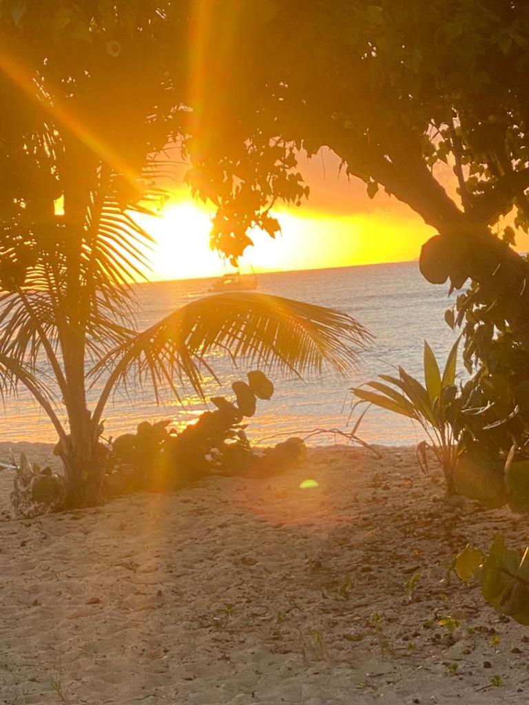 L'abri côtier, plage sans sargasses à 3mn à pied