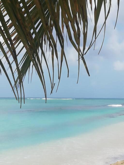 L'abri côtier, plage sans sargasses à 3mn à pied