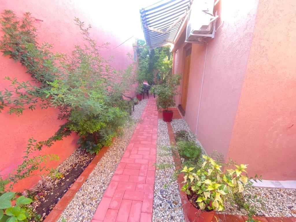 Terracotta House 2