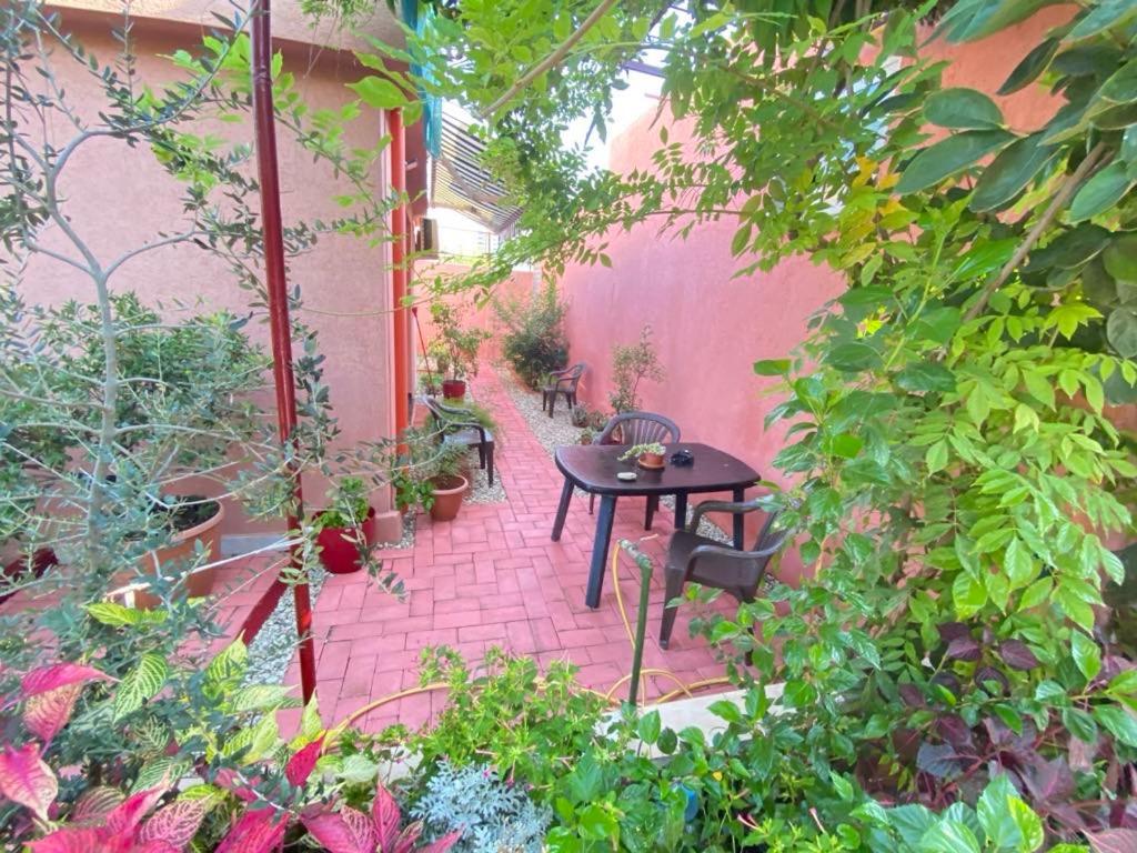 Terracotta House 2