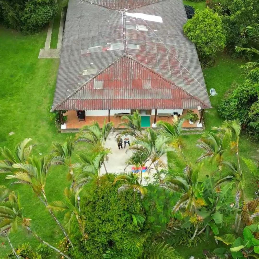ecopolis birds lodge