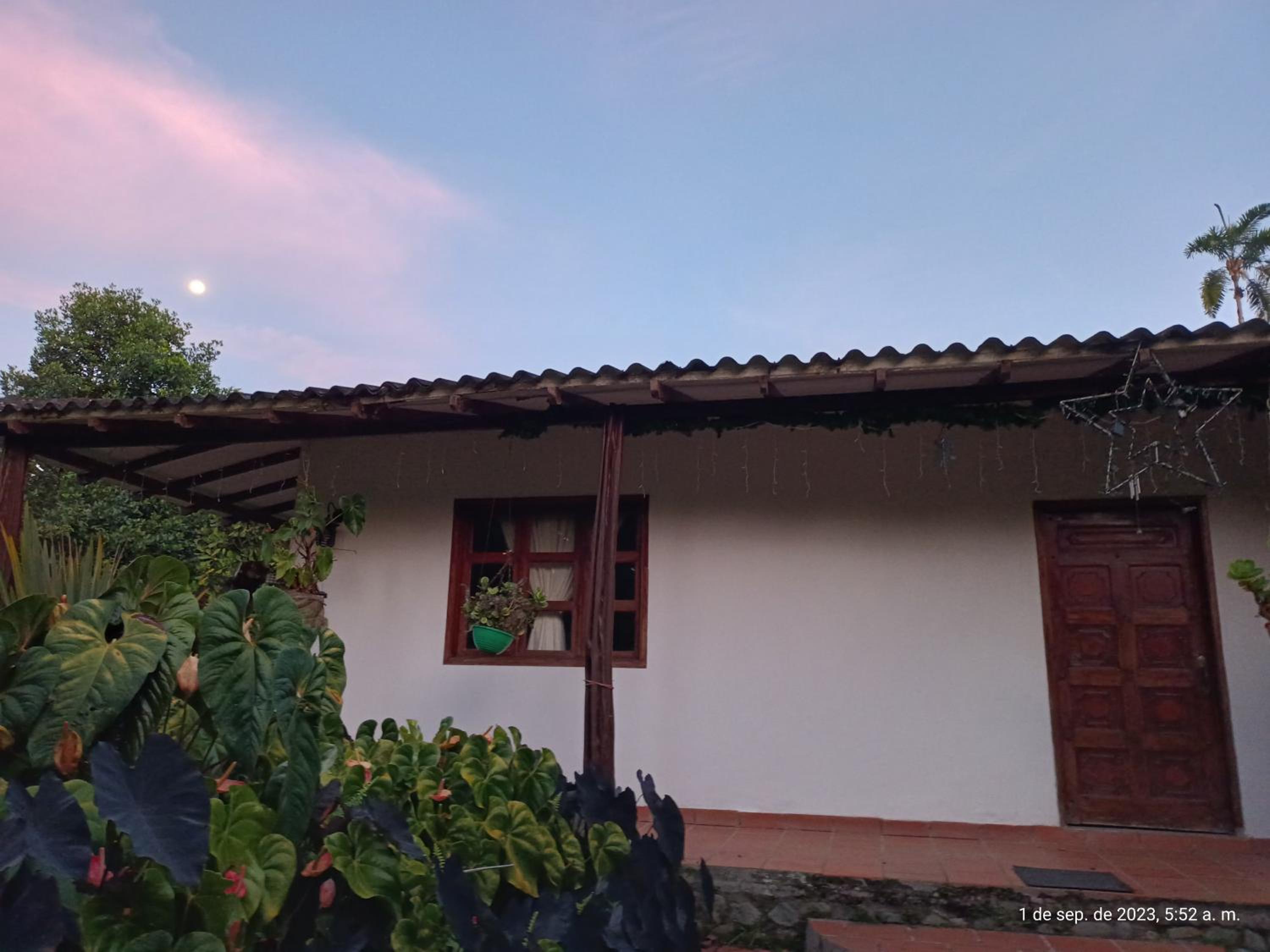 ecopolis birds lodge