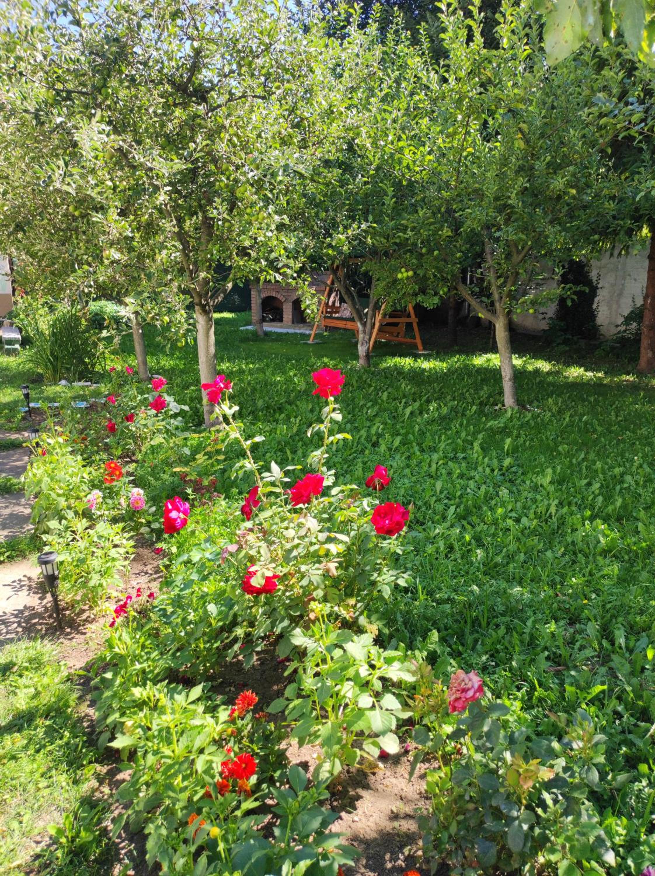 Photo 26