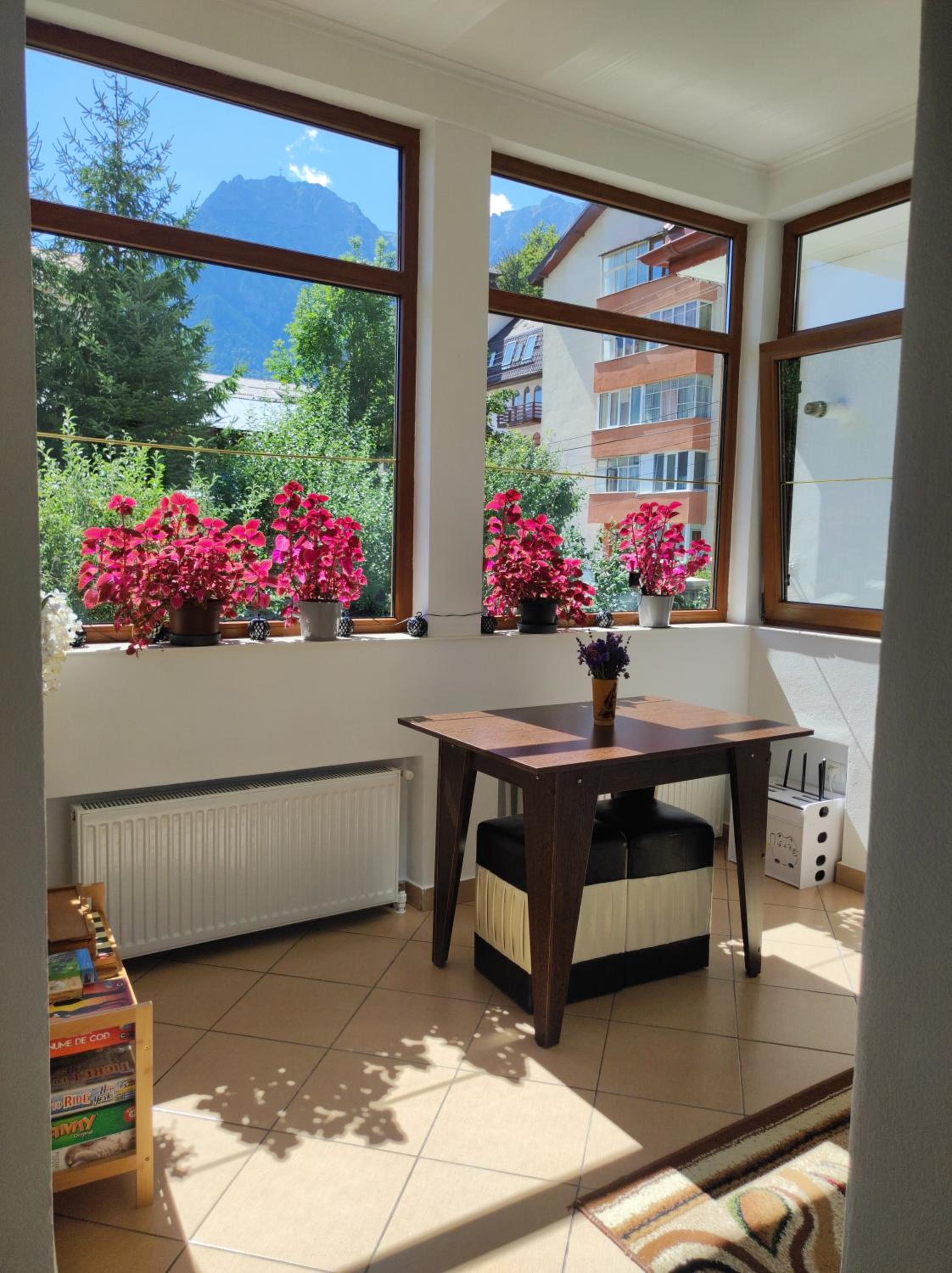 Little Bear Busteni view 5