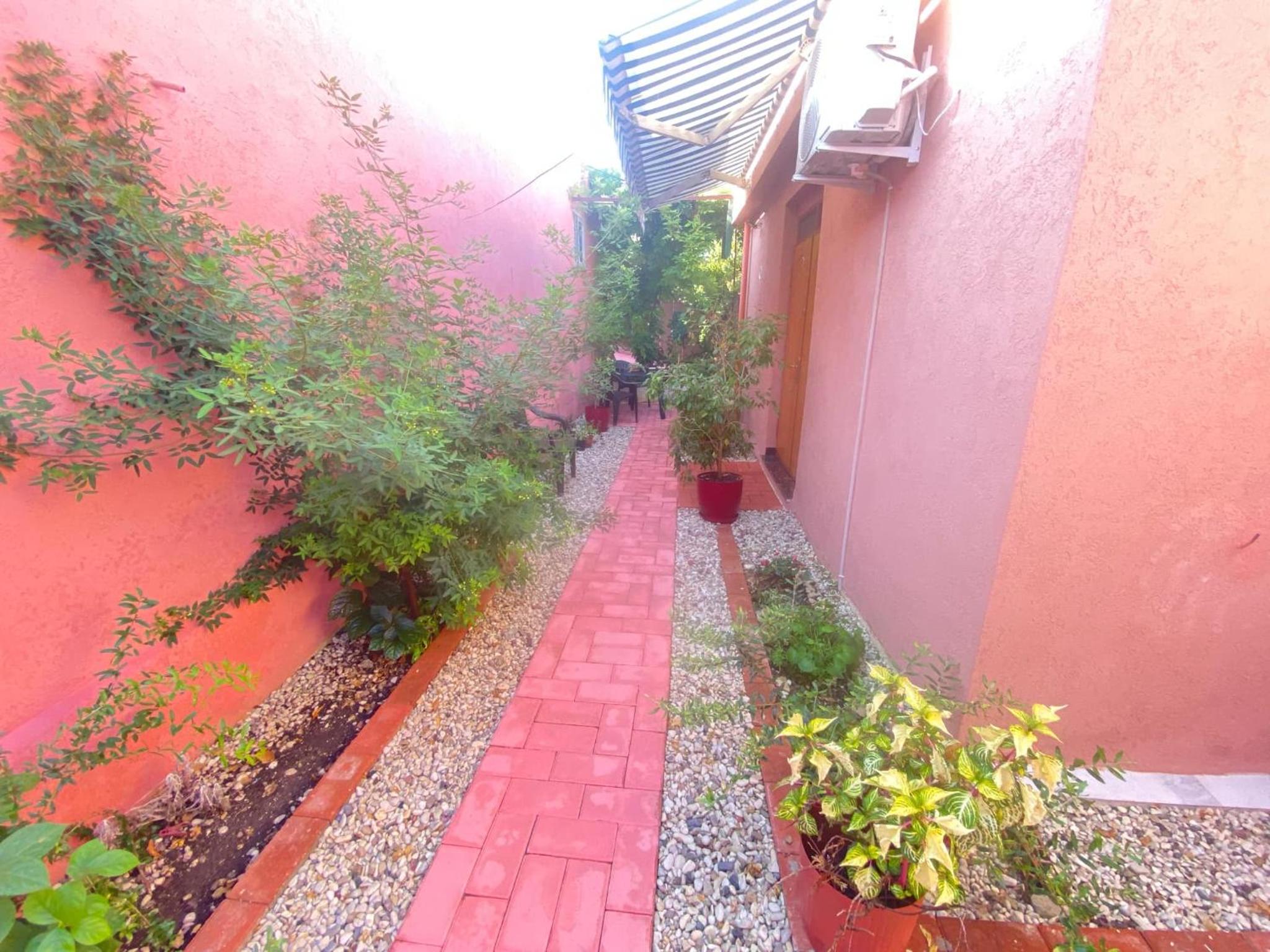 Terracotta House 1