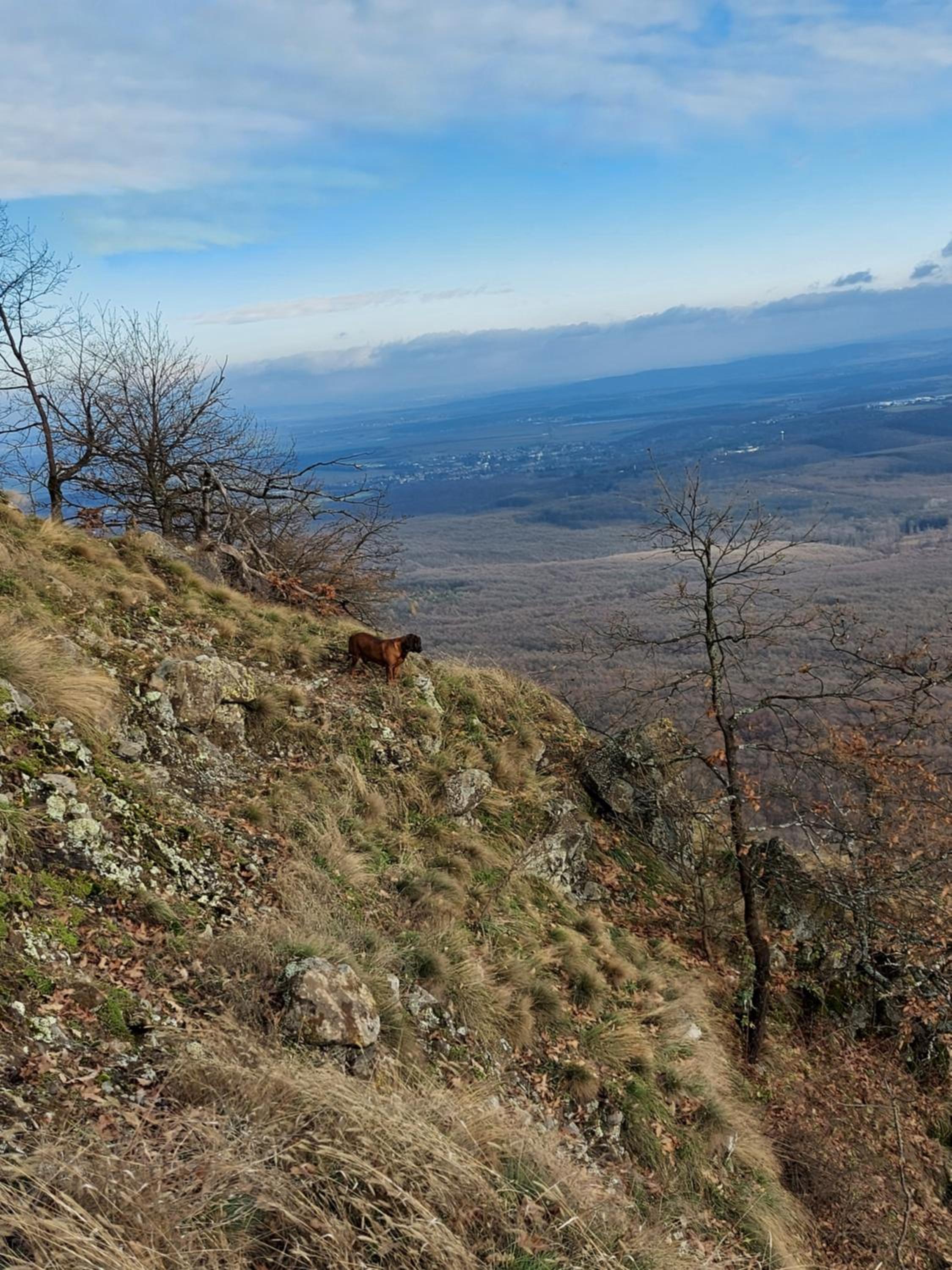 Wenckheim Vadászház