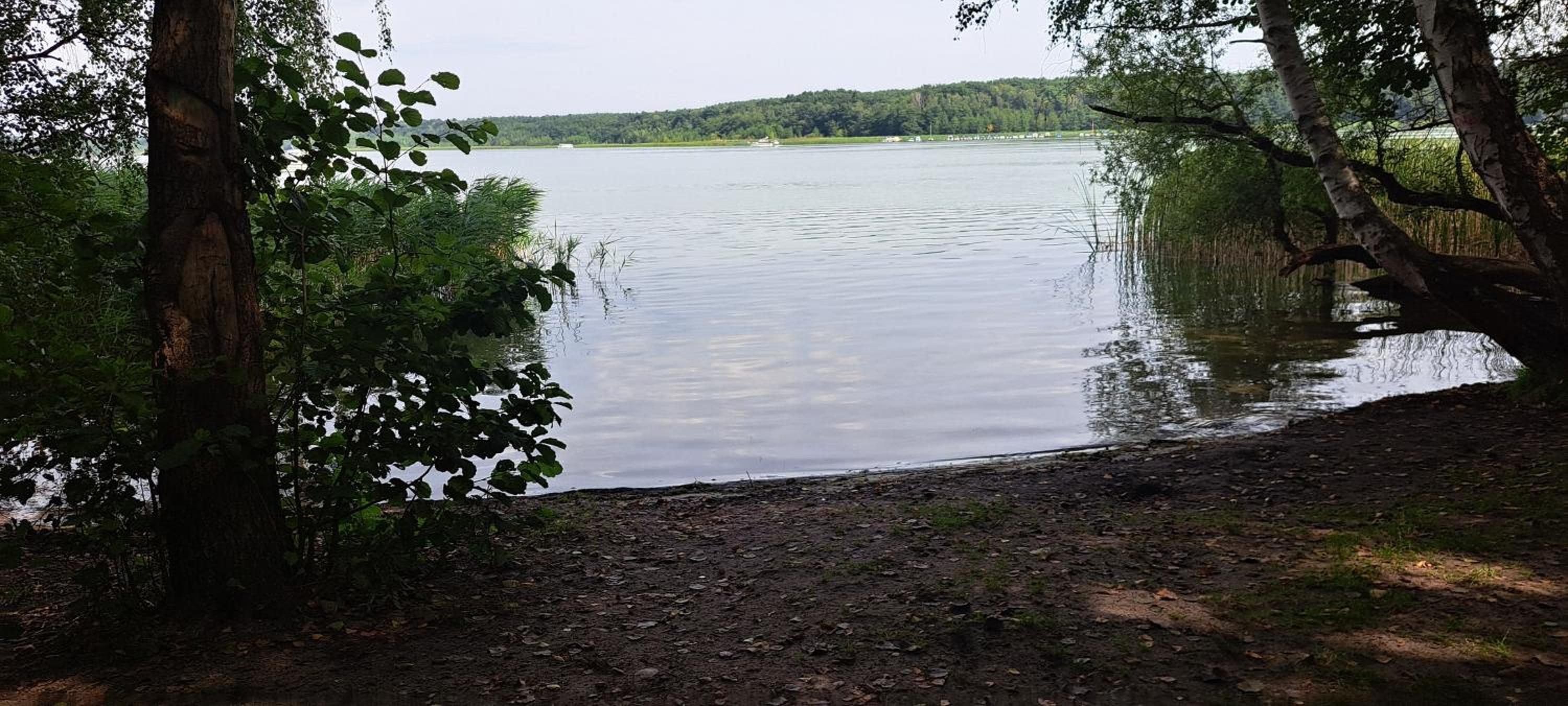 Photo 45