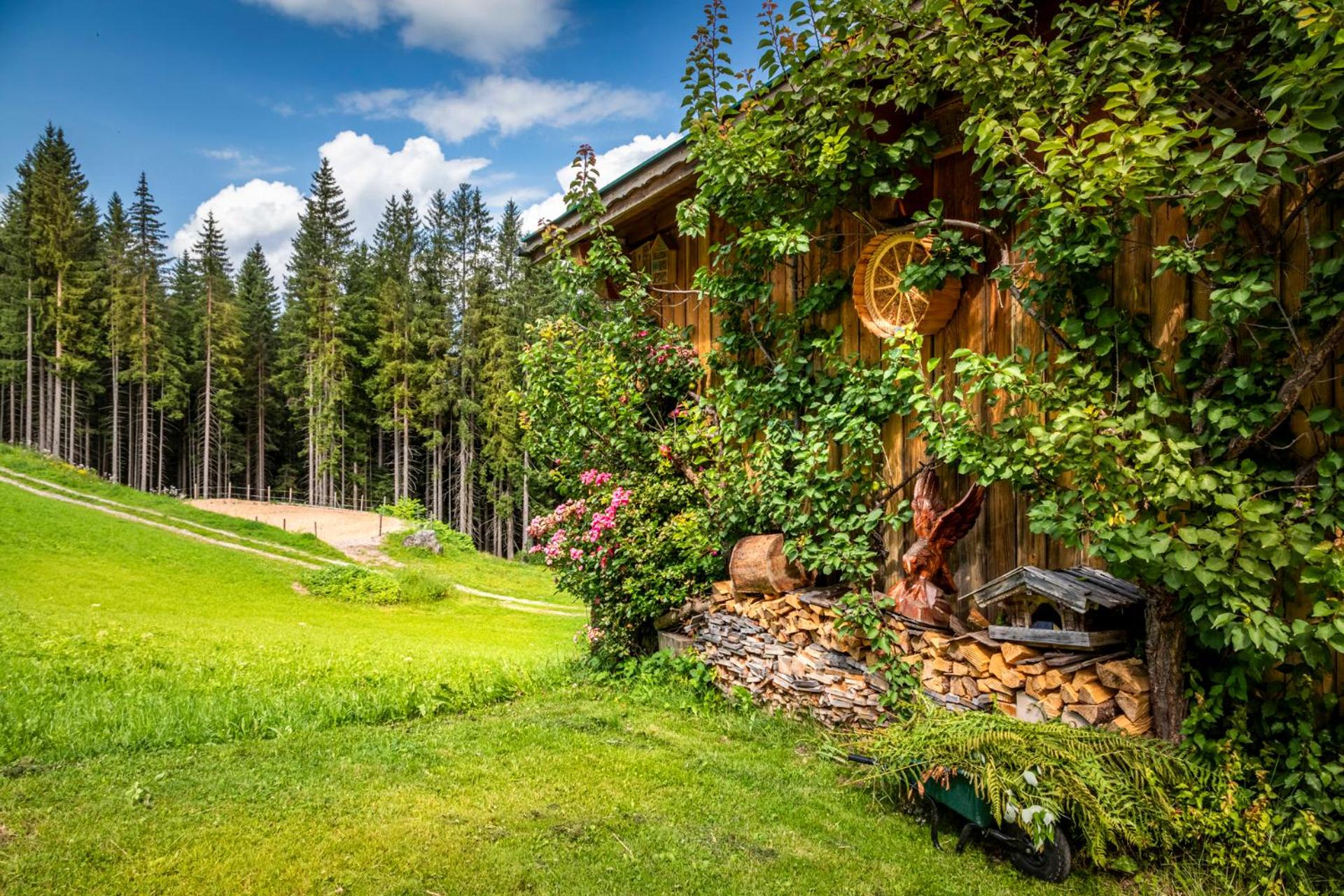 Panorama Chalet mit Sauna Höllmaishof