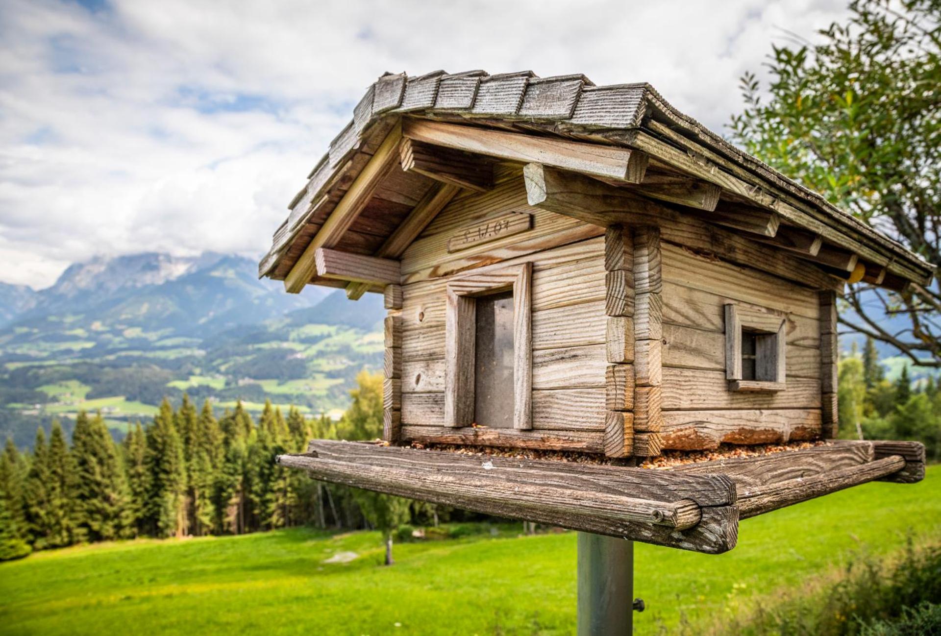 Panorama Chalet mit Sauna Höllmaishof