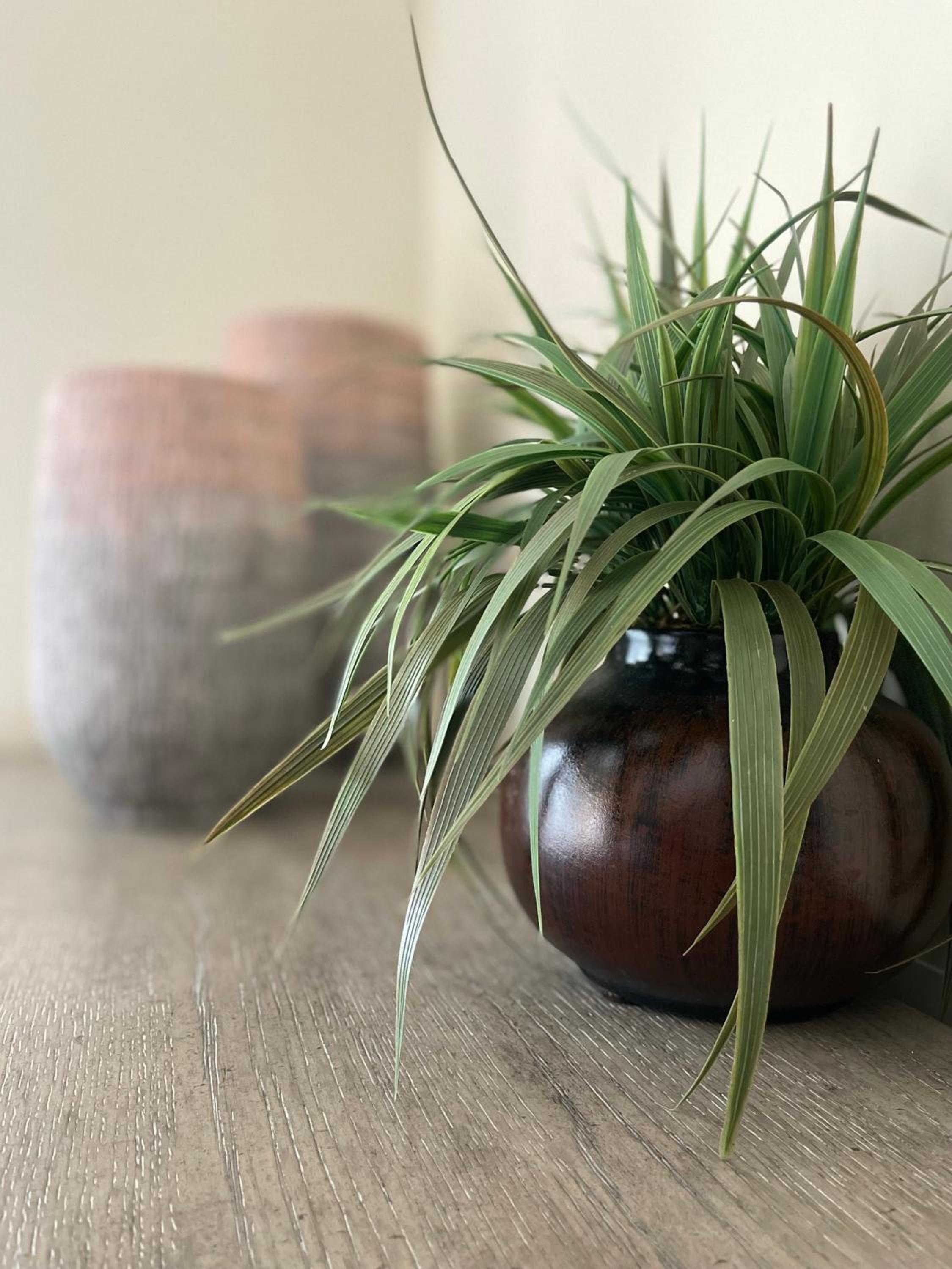 Cottonwood Vacations - Magnolia Creek Lodge - Property Image 6