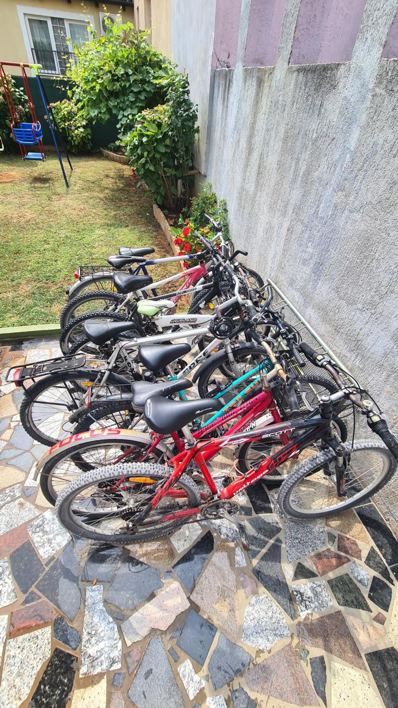 activities & amenities