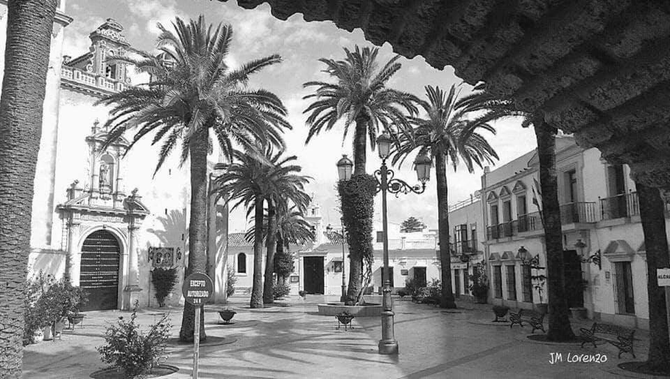 Apartamento Caepionis en el Centro Histórico