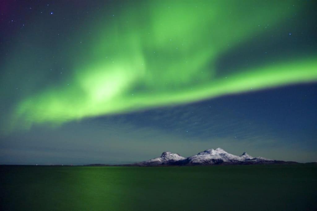 Nordlys Family Studio - Bodø view 3