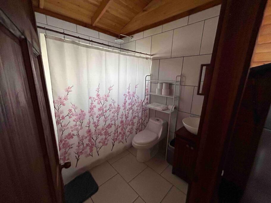 Seahorse Breeze Apartment 2