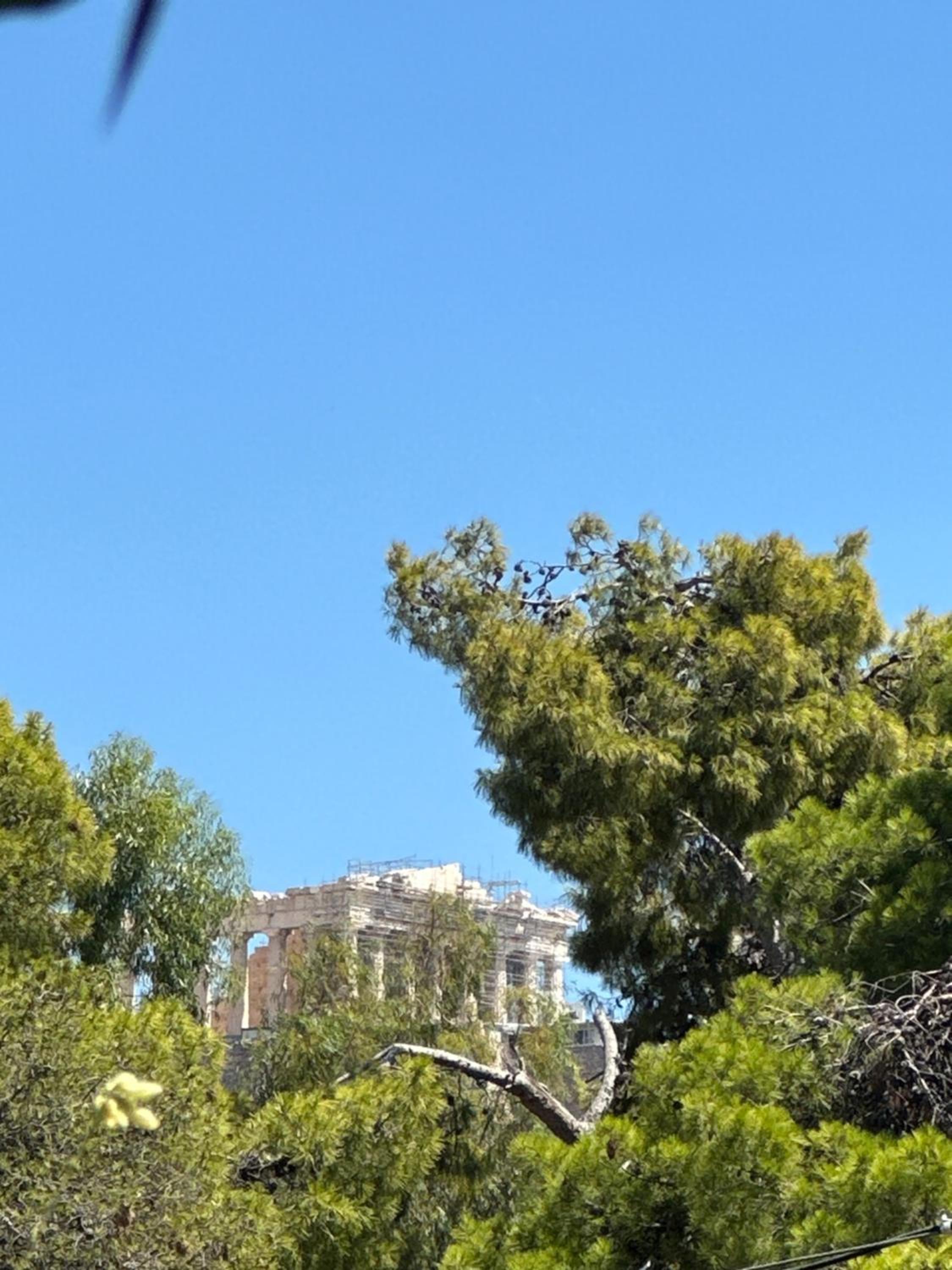 AGORA 1BR luxury apartment