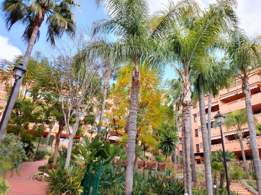 Marbella Vacations - Acogedor y luminoso apartamento cerca de la playa - Property Image 14