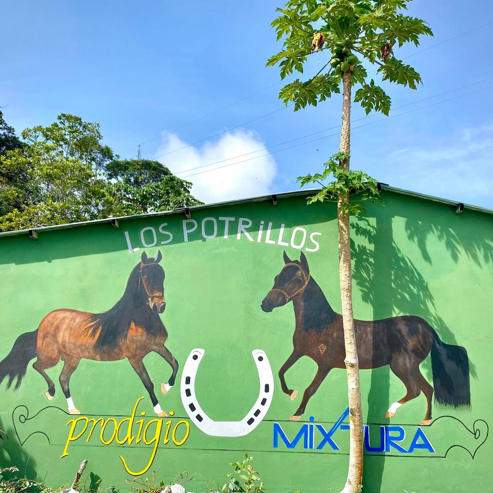 Finca campestre y recreativa los potrillos